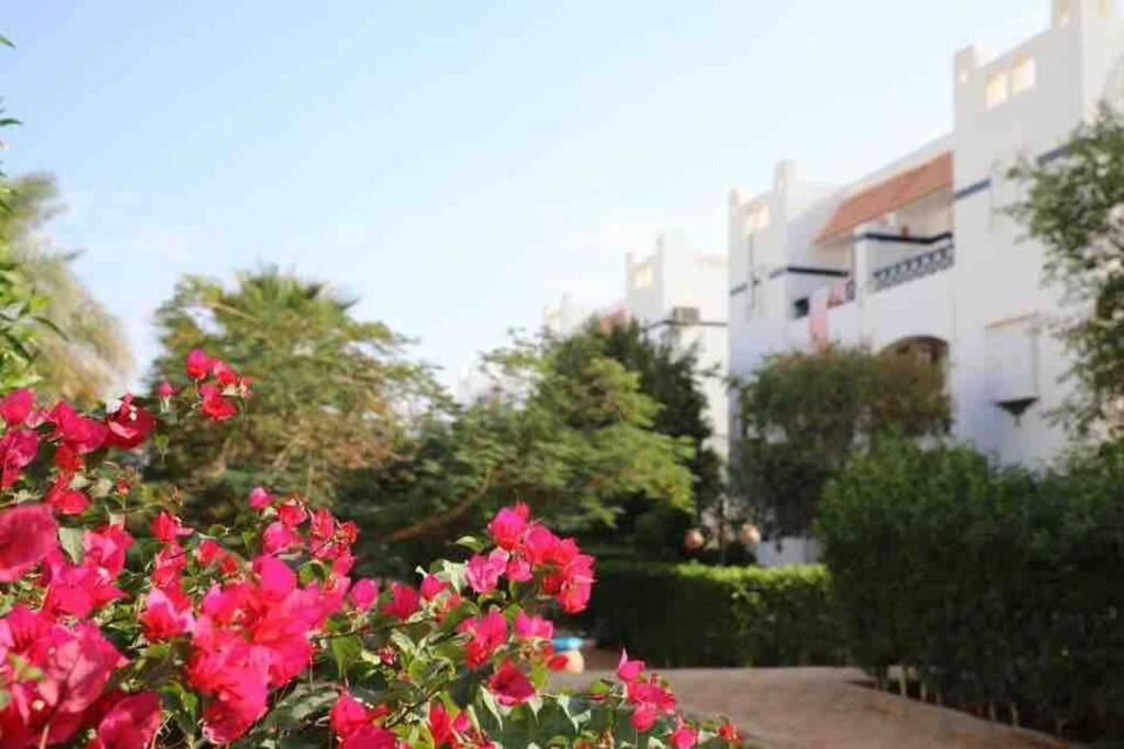 שארם א-שייח Riviera Resort Apartment - Pool View & Wifi מראה חיצוני תמונה