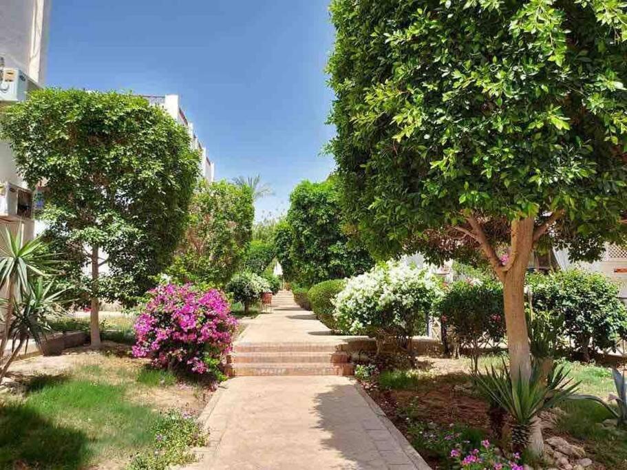 שארם א-שייח Riviera Resort Apartment - Pool View & Wifi מראה חיצוני תמונה